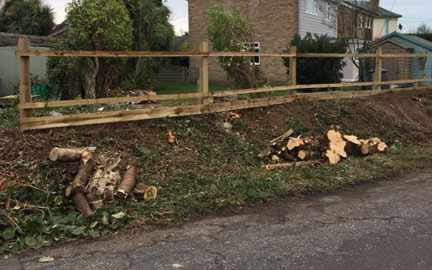 Hedge removal by Oakwood Fencing